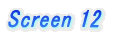 Screen 12
